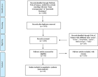 A New Method to Address the Importance of Detoxified Enzyme in Insecticide Resistance – Meta-Analysis